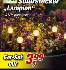 Posten Börse KINAST Solarstecker "Lampion" Angebot
