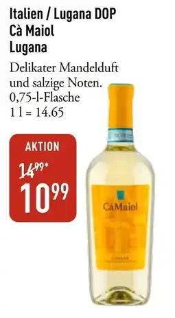 Galeria Markthalle Cà Maiol Lugana Angebot