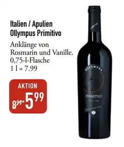 Galeria Markthalle Ollympus Primitivo Angebot