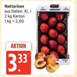 Marktkauf Nektarinen Angebot
