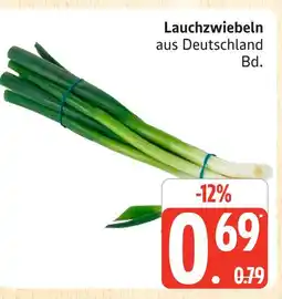 Marktkauf Lauchzwiebeln Angebot