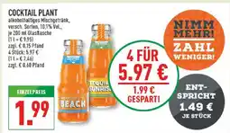 Marktkauf Cocktail plant alkoholhaltiges mischgetränk Angebot