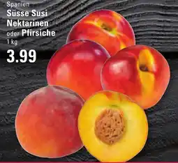 Meyer's Frischemarkt Süsse Susi Nektarinen oder Pfirsiche Angebot
