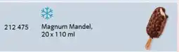 Selgros Magnum Mandel Angebot