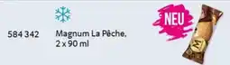 Selgros Magnum La Pêche Angebot