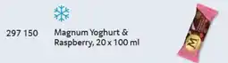 Selgros Magnum Yoghurt & Raspberry Angebot