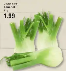 Meyer's Frischemarkt Fenchel Angebot