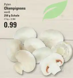 Meyer's Frischemarkt Polen Champignons weiß Angebot