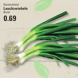 Meyer's Frischemarkt Lauchzwiebeln Angebot