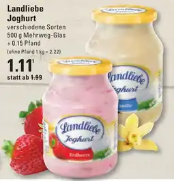 Meyer's Frischemarkt Landliebe Joghurt Angebot