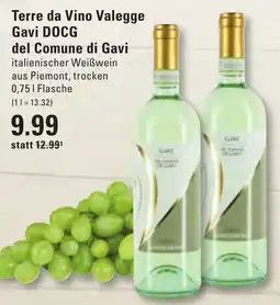 Meyer's Frischemarkt Terre da Vino Valegge Gavi DOCG Angebot