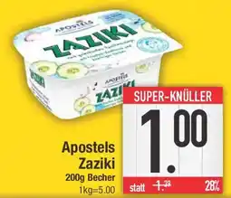 E-Center Apostels Zaziki Angebot