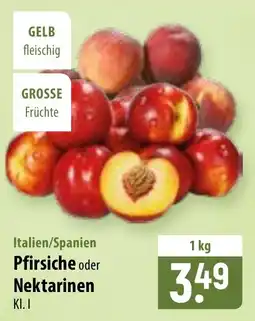 Famila Nord Ost Pfirsiche oder Nektarinen Angebot