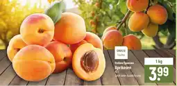 Famila Nord Ost GROSSE Früchte Aprikosen Angebot