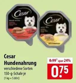 Famila Nord Ost Cesar Hundenahrung Angebot