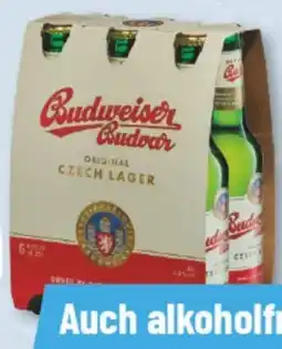 trinkgut Budweiser Budvar (CZ) Premium Lager Angebot