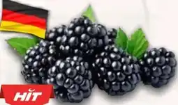 AEZ Hit Brombeeren Angebot
