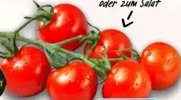 AEZ Gourmet Hit Mini Cherryrispentomaten Angebot