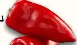 AEZ Rot Spitzpaprika Angebot