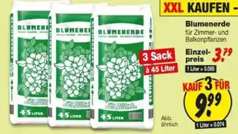 Repo Markt Blumenerde Angebot