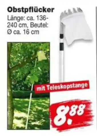 Repo Markt Obstpflücker Angebot