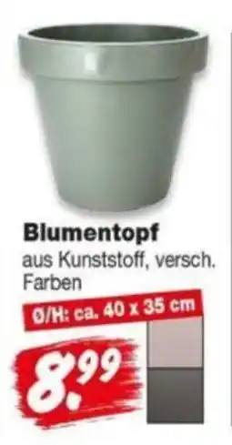 Repo Markt Blumentopf Angebot