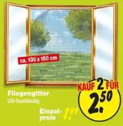 Repo Markt Fliegengitter Angebot