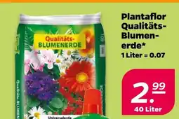 Netto Plantaflor qualitäts-blumenerde Angebot