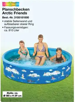 Netto Marken-Discount Planschbecke Arctic Friends Angebot