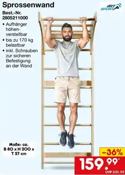 Netto Marken-Discount Sprossenwand ART SPORT Angebot