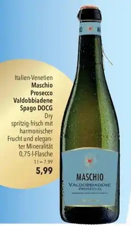 CITTI Markt Maschio Prosecco Valdobbiadene Spago DOCG Angebot