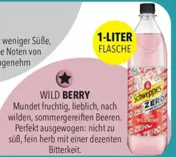 CITTI Markt Schweppes Wild Berry Angebot