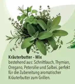 CITTI Markt Kräuterbutter Mix Angebot