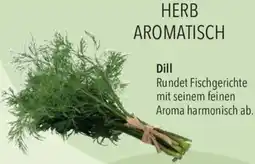 CITTI Markt Dill Angebot