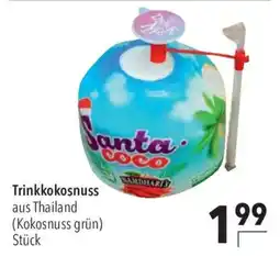 CITTI Markt Santa Coco Trinkkokosnuss Angebot