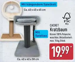 Aldi Nord CACHET Kratzbaum Angebot