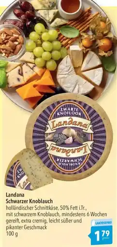 CITTI Markt Landana Schwarzer Knoblauch Angebot