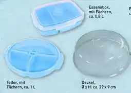 Aldi Nord Essensbox, mit Fächern Angebot