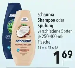 CITTI Markt schauma Shampoo oder Spülung Angebot