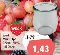 CITTI Markt Weck Mini-Tulpe Angebot