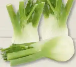 Edeka Frischemarkt Fenchel Angebot