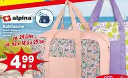 Krümet Sonderposten alpina Kühlertasche Angebot