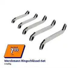 Action Werckmann Ringschlüssel-Set Angebot