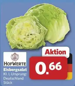 Combi HOFWERTE Eisbergsalat Angebot