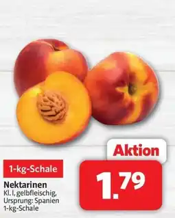 Markant Nektarinen Angebot