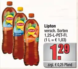 Profi Getränke Lipton Angebot