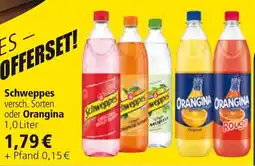 Profi Getränke Schweppes oder Orangina Angebot