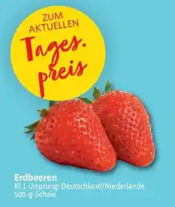 Markant Erdbeeren Angebot