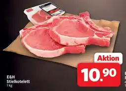 Markant E&H Stielkotelett Angebot