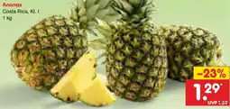 Netto Marken-Discount Ananas Angebot